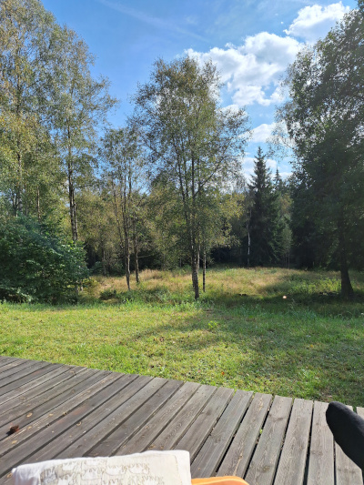 Blick von der Terrasse in die Natur